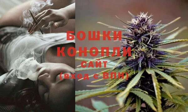 прущие крисы Беломорск