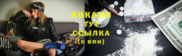 мяу мяу мука Белокуриха