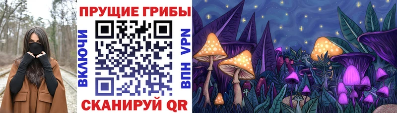 omg онион хочу Славгород Галлюциногенные грибы MAGIC MUSHROOMS