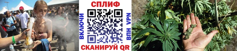 МЕГА рабочий сайт Славгород Шишки марихуана White Widow цена наркотик